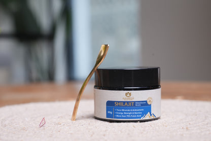Shilajit Himalayan Resin 30g
