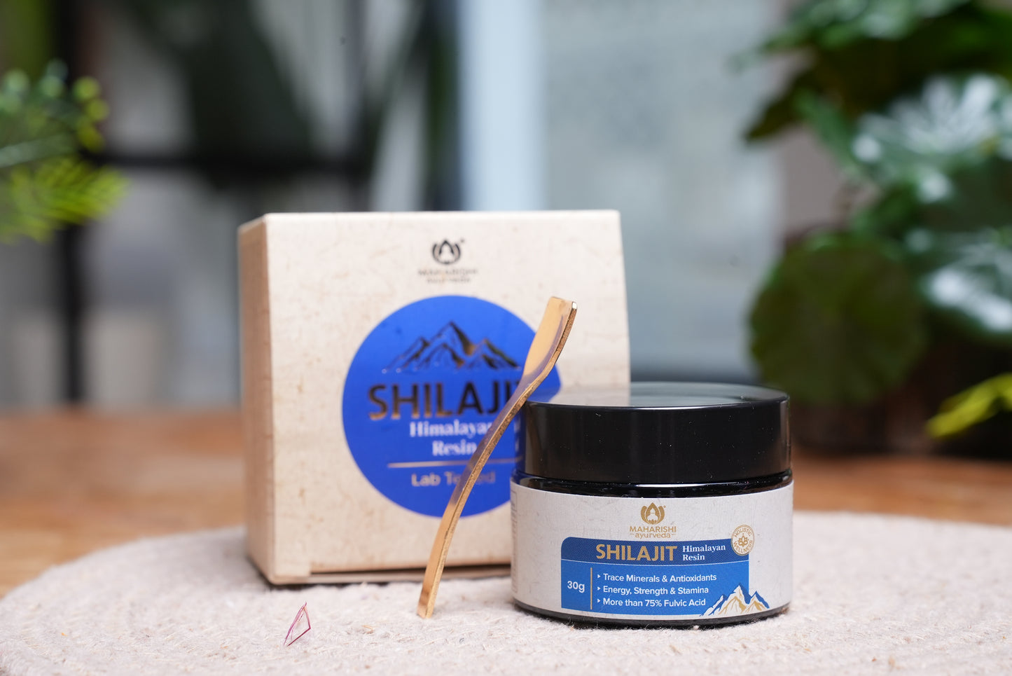 Shilajit Himalayan Resin 30g