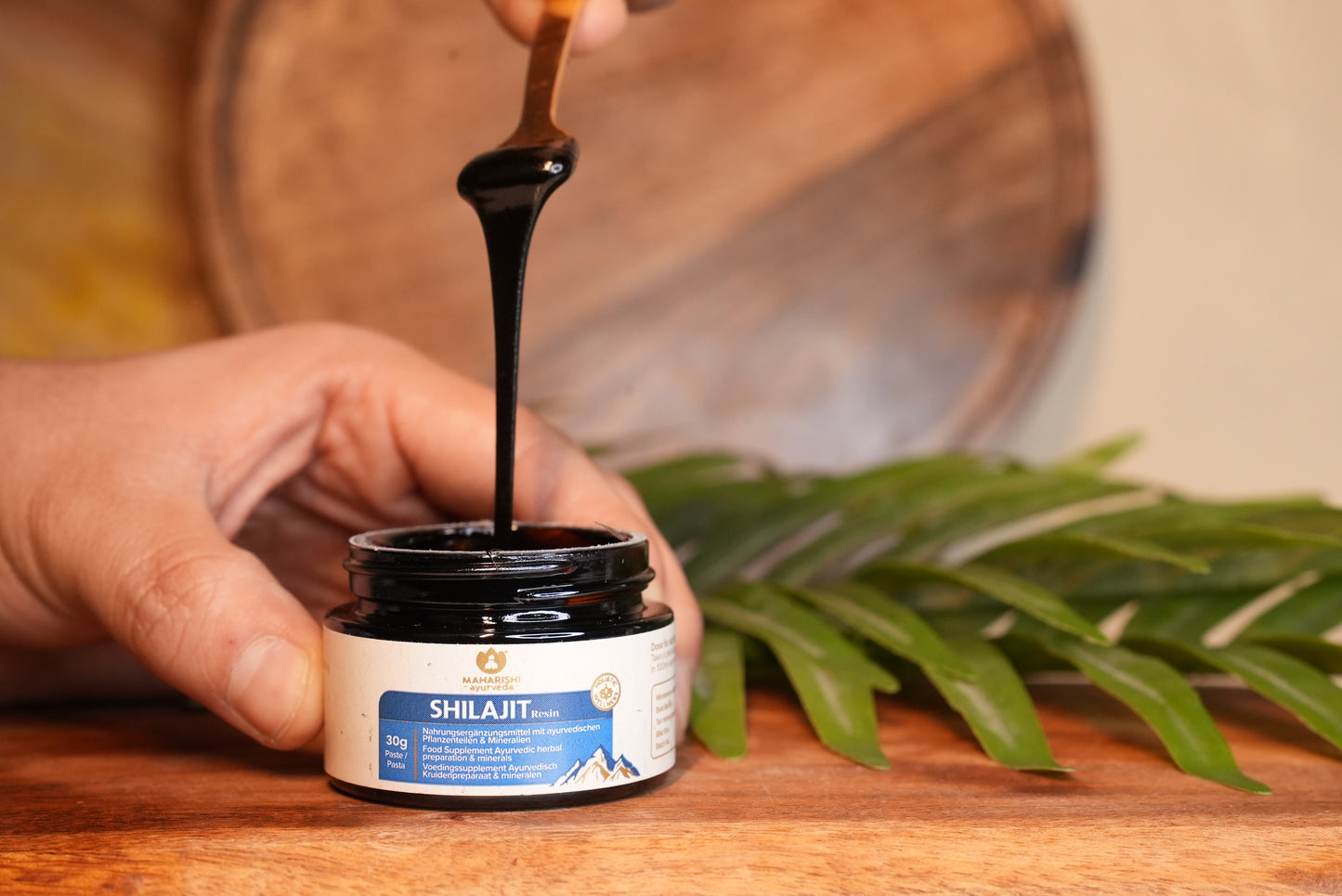 Shilajit Himalayan Resin 30g