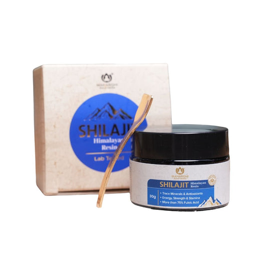 Shilajit Himalayan Resin 30g
